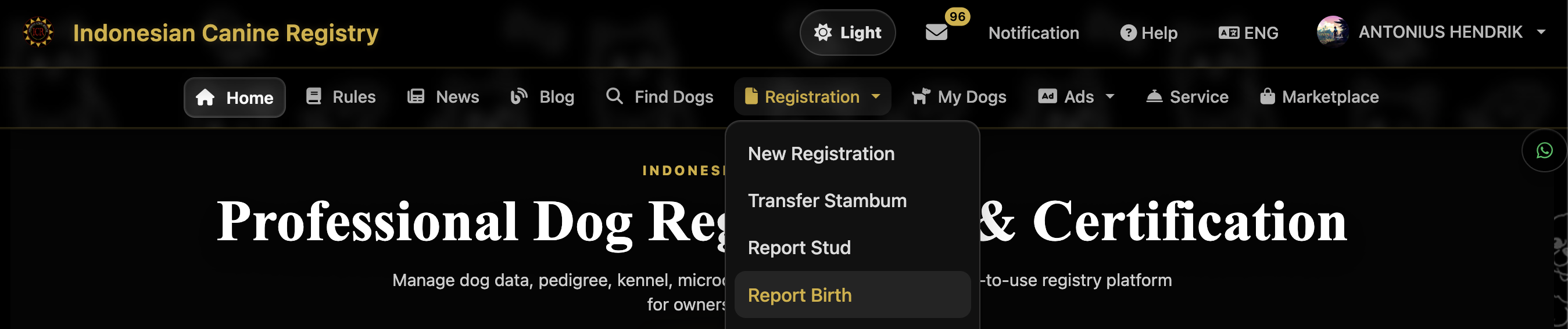 Navbar
