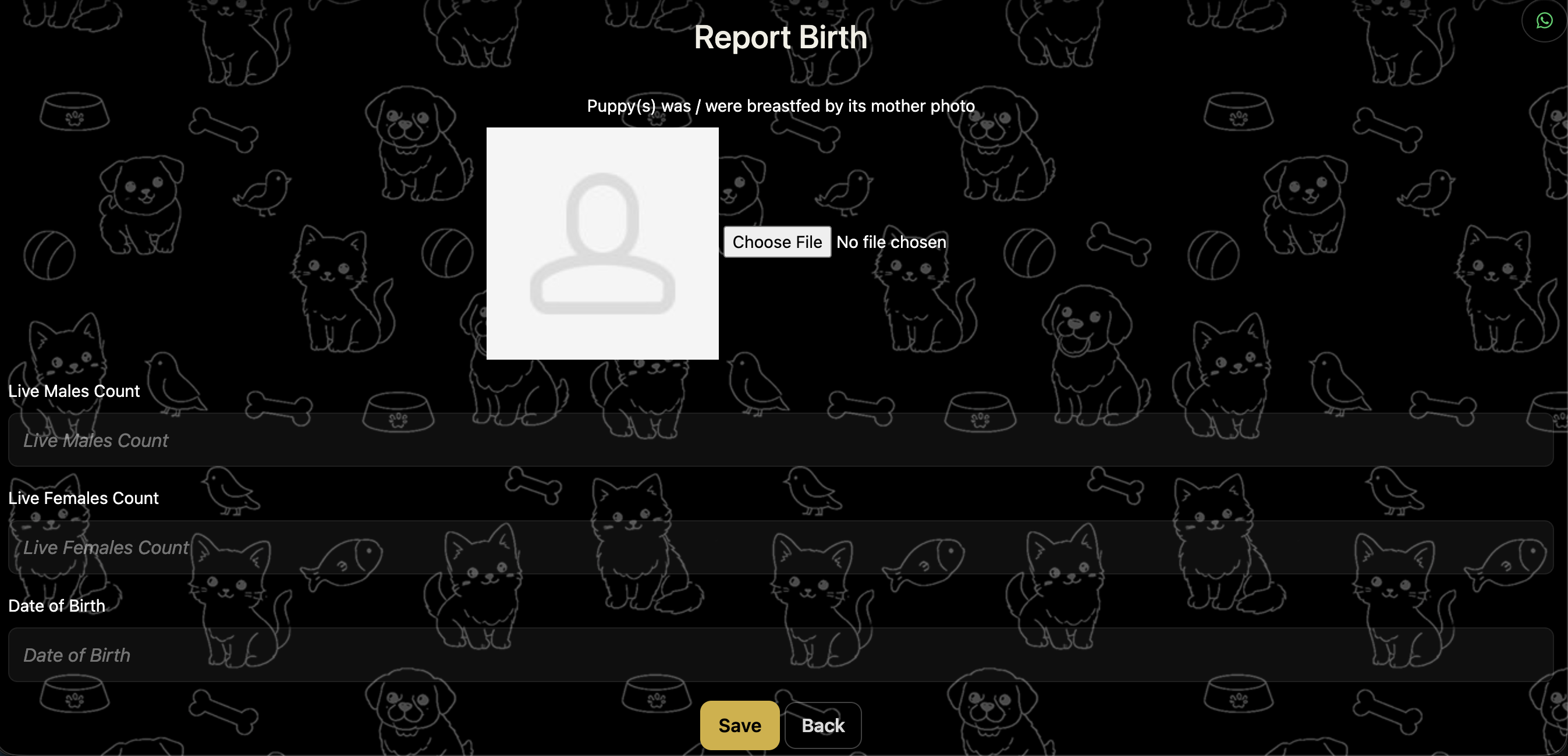 birth report