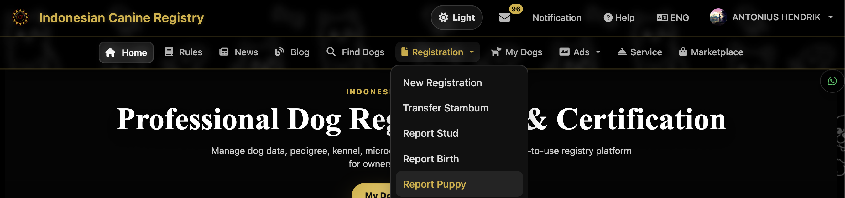 Navbar