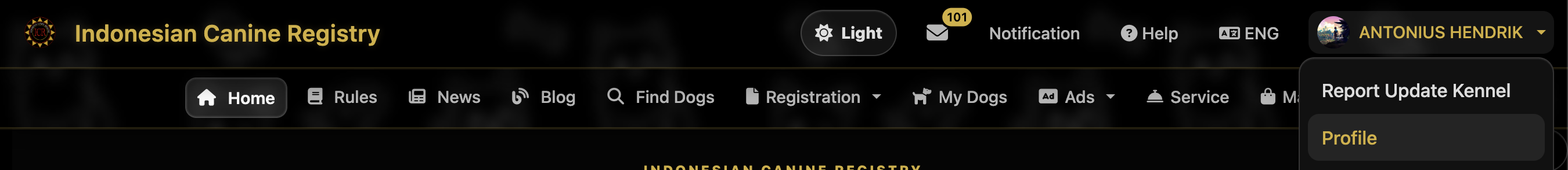 Navbar