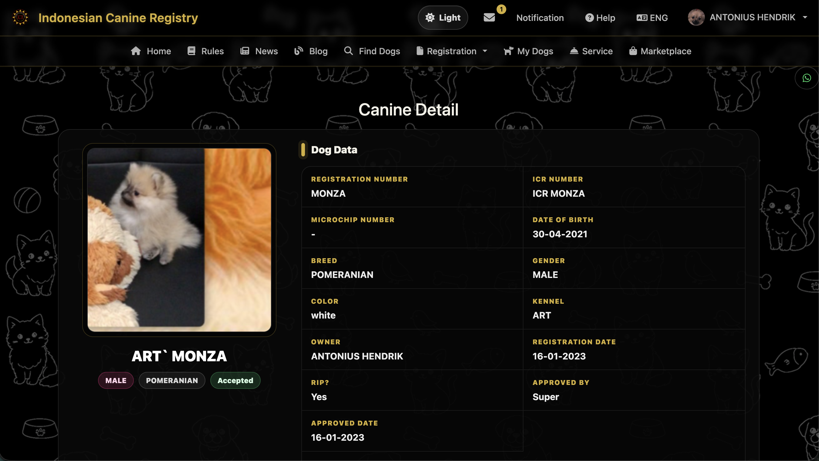 Dog Search Form