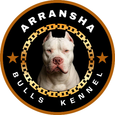 ARRANSHA BULLS