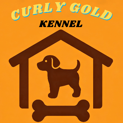 CURLY GOLD
