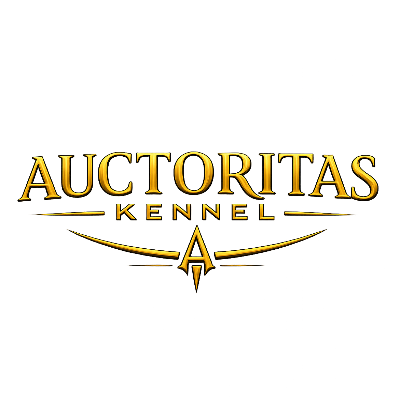 AUCTORITAS