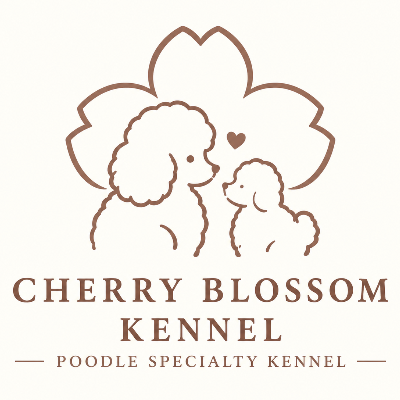 CHERRY BLOSSOM